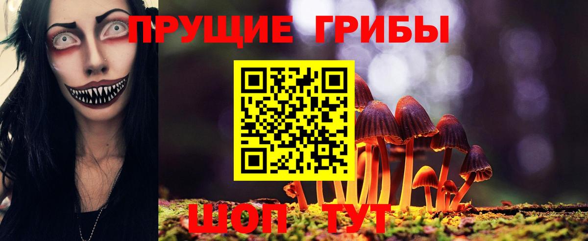 Чебоксары  Псилоцибиновые грибы ЛСД  дарнет шоп  Вход с VPN  Галлюциногенные грибы GOLDEN TEACHER 